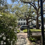 A view from the office entrance looking out into a serene garden. Large, mature oak trees with sprawling branches provide shade over a brick walkway and manicured hedges