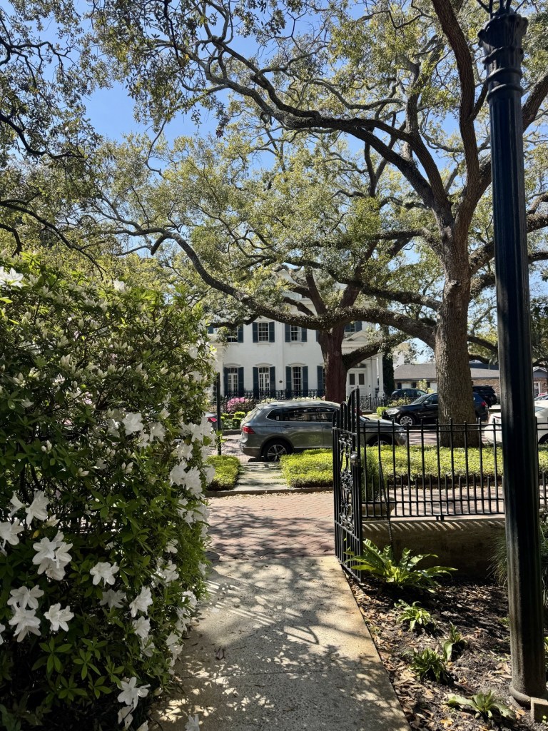 A view from the office entrance looking out into a serene garden. Large, mature oak trees with sprawling branches provide shade over a brick walkway and manicured hedges