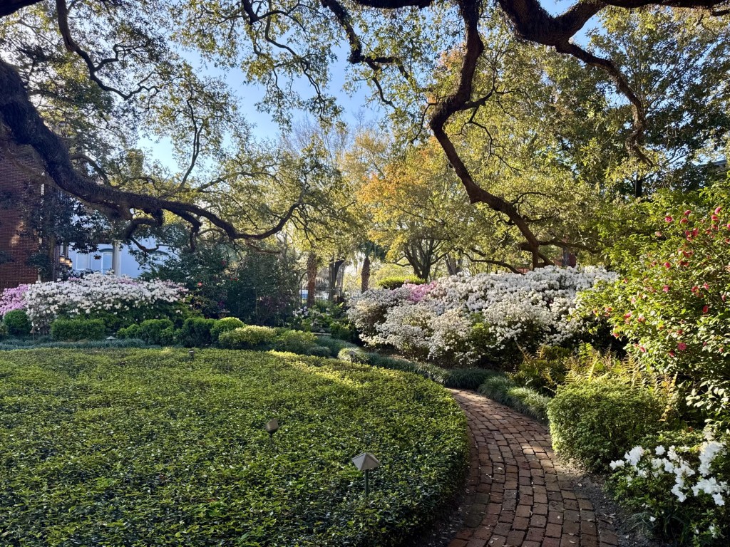 A beautiful brick-paved garden path winding through dense green bushes and flowering shrubs under the canopy of large live oak trees